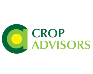 Down to Earth Agronomy, regenerative farming consultant, soil sampling, agronomist, Chris Taylor, Agronomy Herefordshire, Nuffield Farming Scholar, Monmmouthshire agronomy, South West UK, Wye Valley agronomy, South Wales agronomist, National Arable and Grasslands Award 2026 Winner, nutrient management