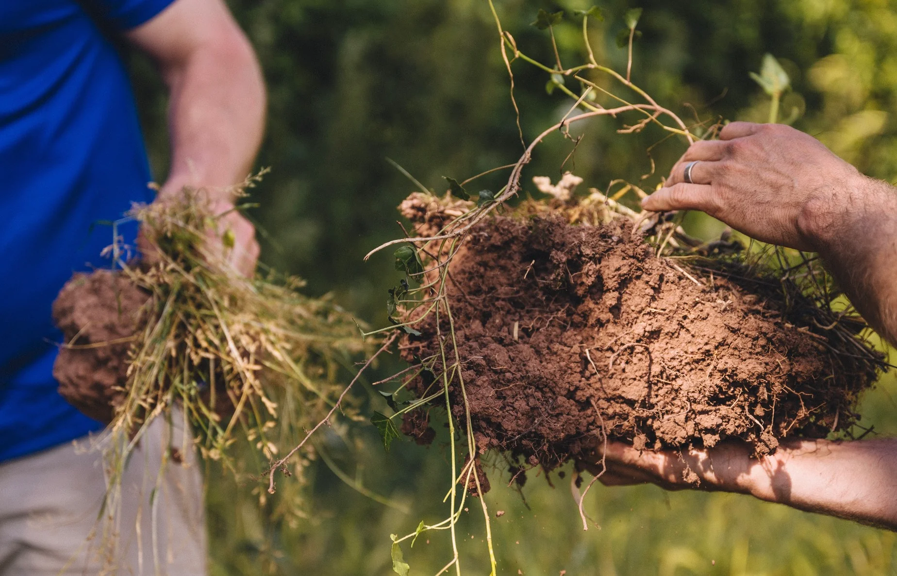 Down to Earth Agronomy, regenerative farming consultant, soil sampling, agronomist, Chris Taylor, Agronomy Herefordshire, Nuffield Farming Scholar, Monmmouthshire agronomy, South West UK, Wye Valley agronomy, South Wales agronomist, National Arable and Grasslands Award 2026 Winner, nutrient management